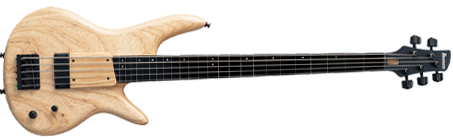 Fretless Bass 01